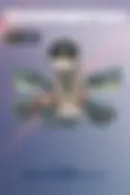 Стартовый набор 1-го сезона 2026